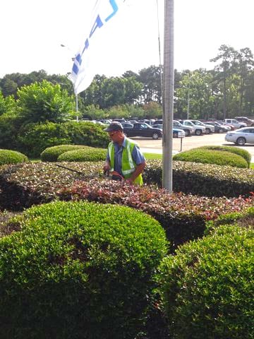 U.S. Lawns - Sarasota