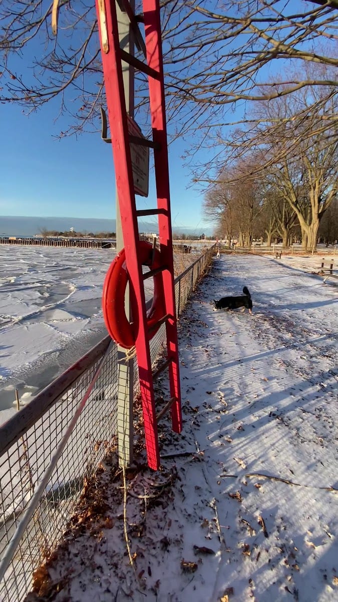 Coronation Dog Park, photo 2
