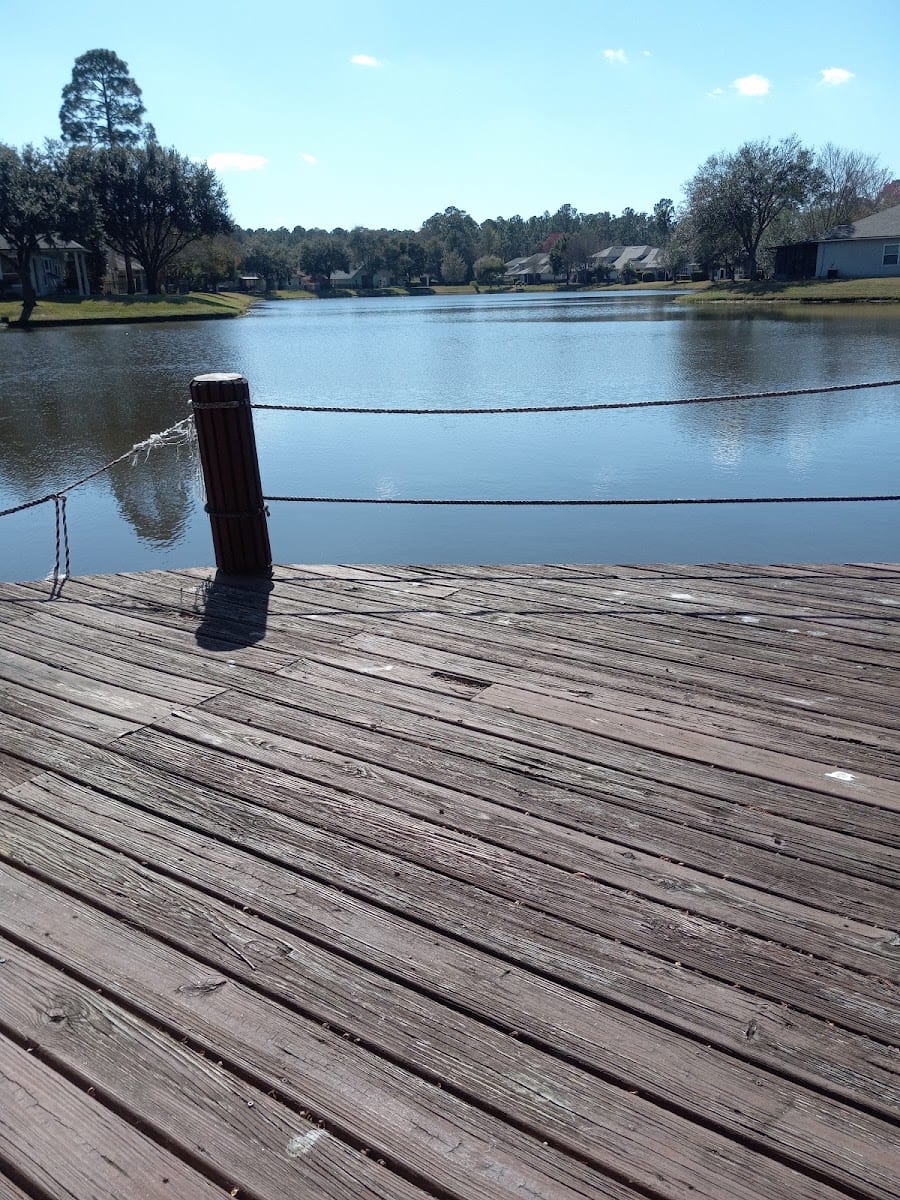 Cross Pines Park, photo 2