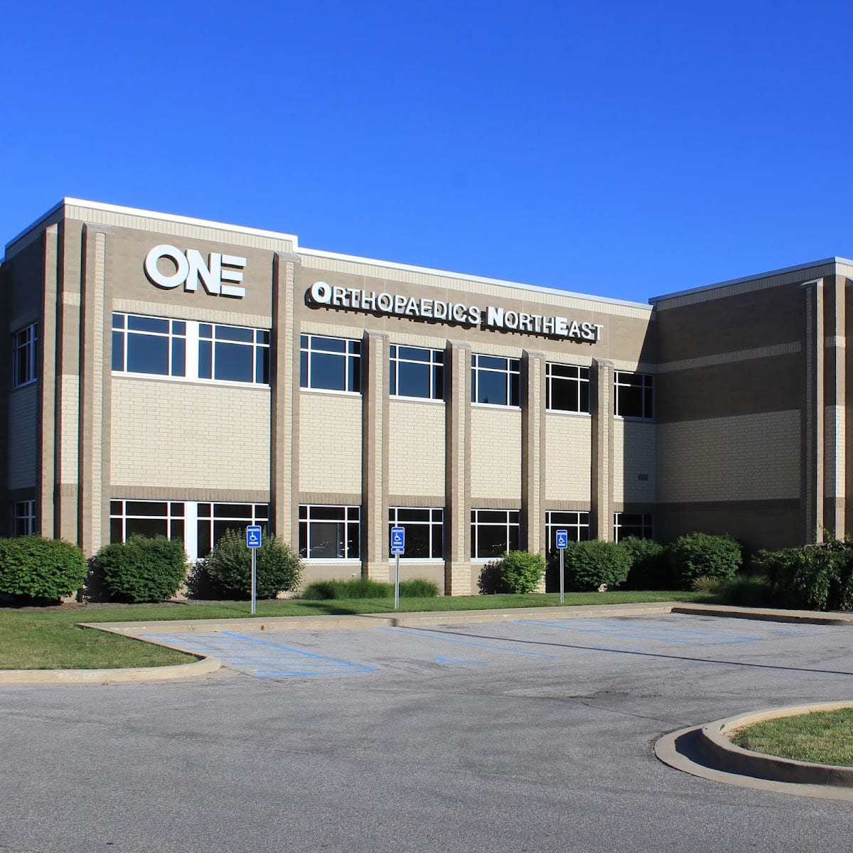 Ortho NorthEast | ONE