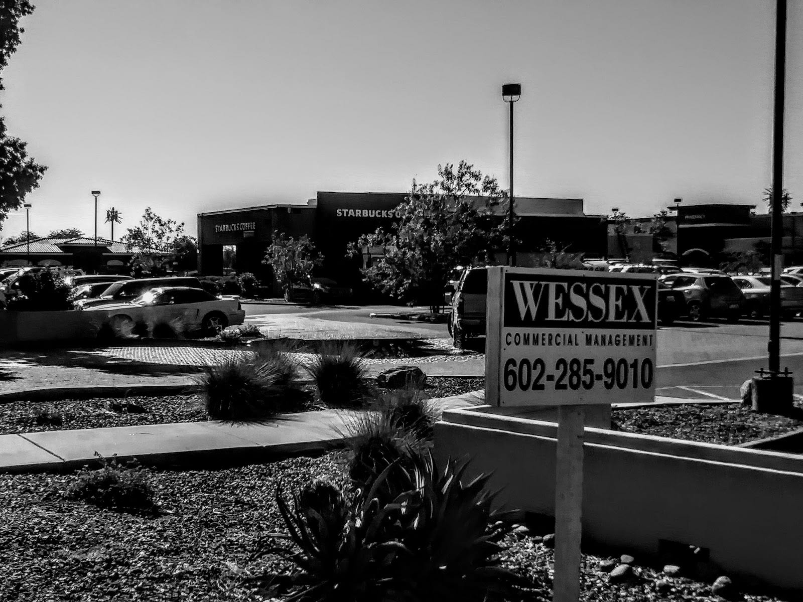 Wessex Commercial Management
