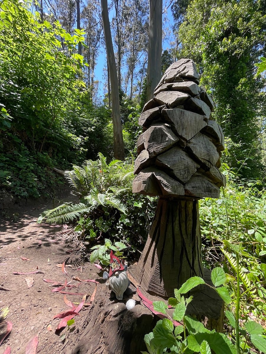 Mount Sutro Open Space Reserve, photo 3