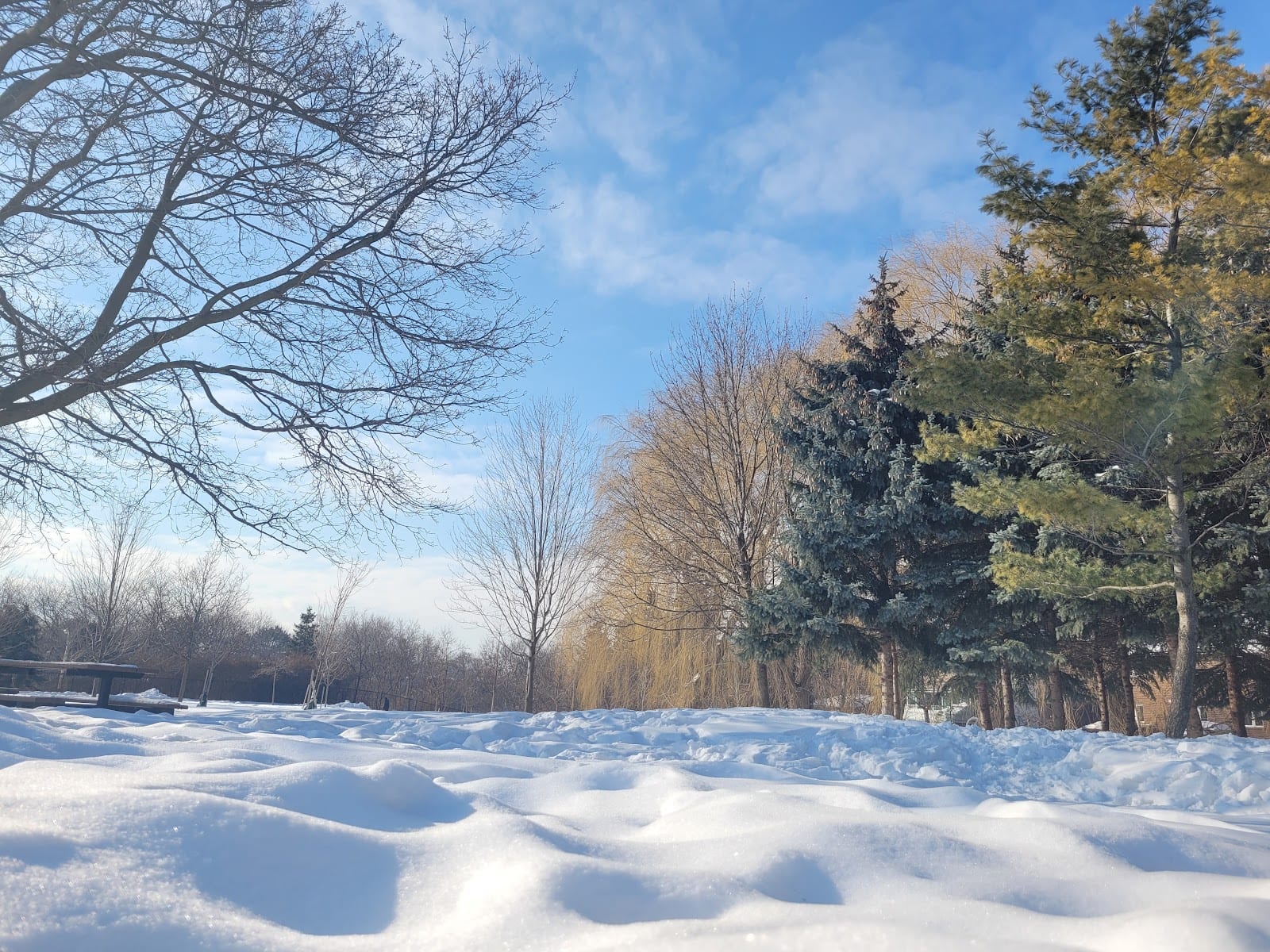 Viewmount Park, photo 3