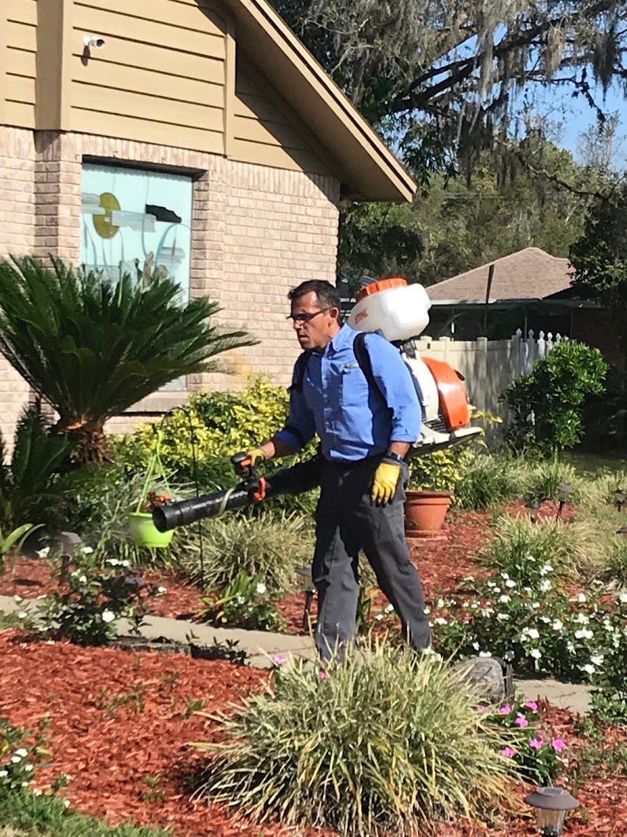 Friendly Pest Solutions, photo 3