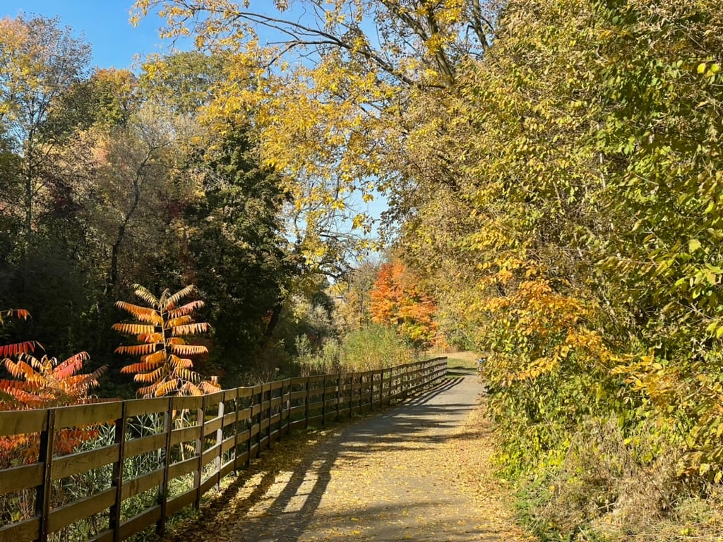 Duncan Creek Trail