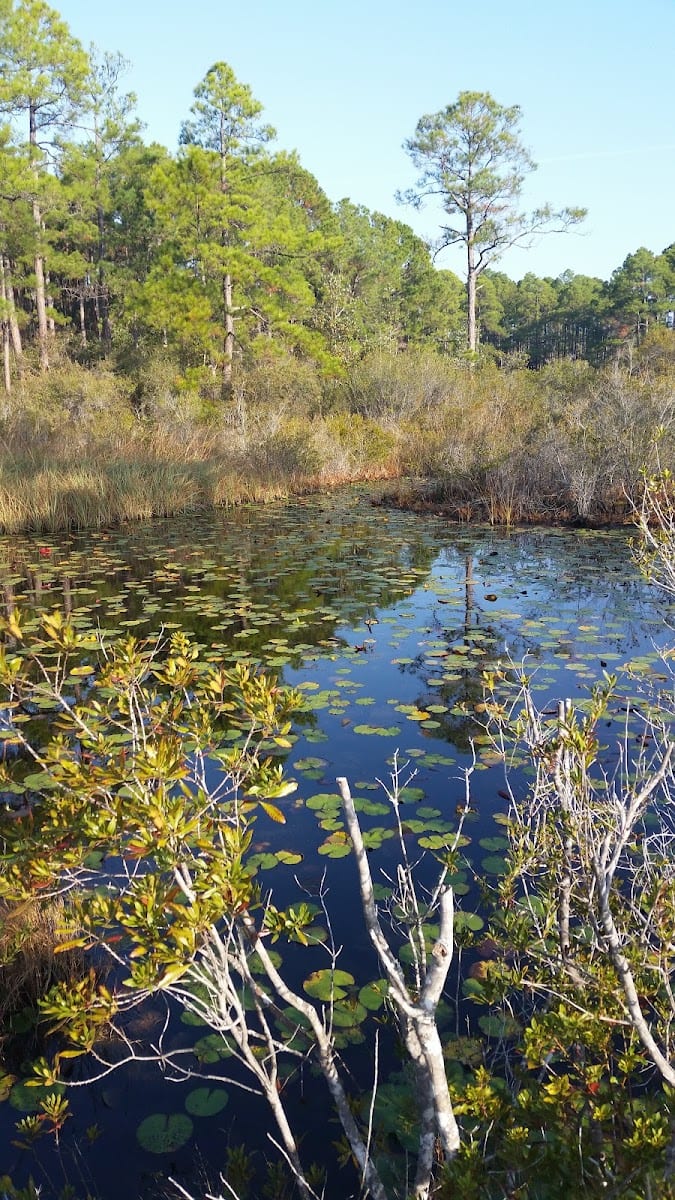 Joe Moody Harris Park