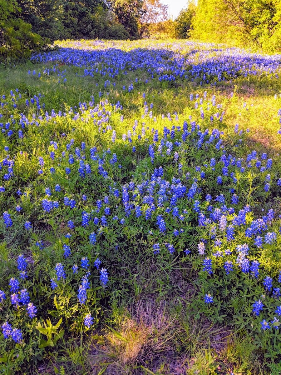 Rock Hollow Park, photo 2