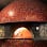 Racca's Pizzeria Napoletana | Italian