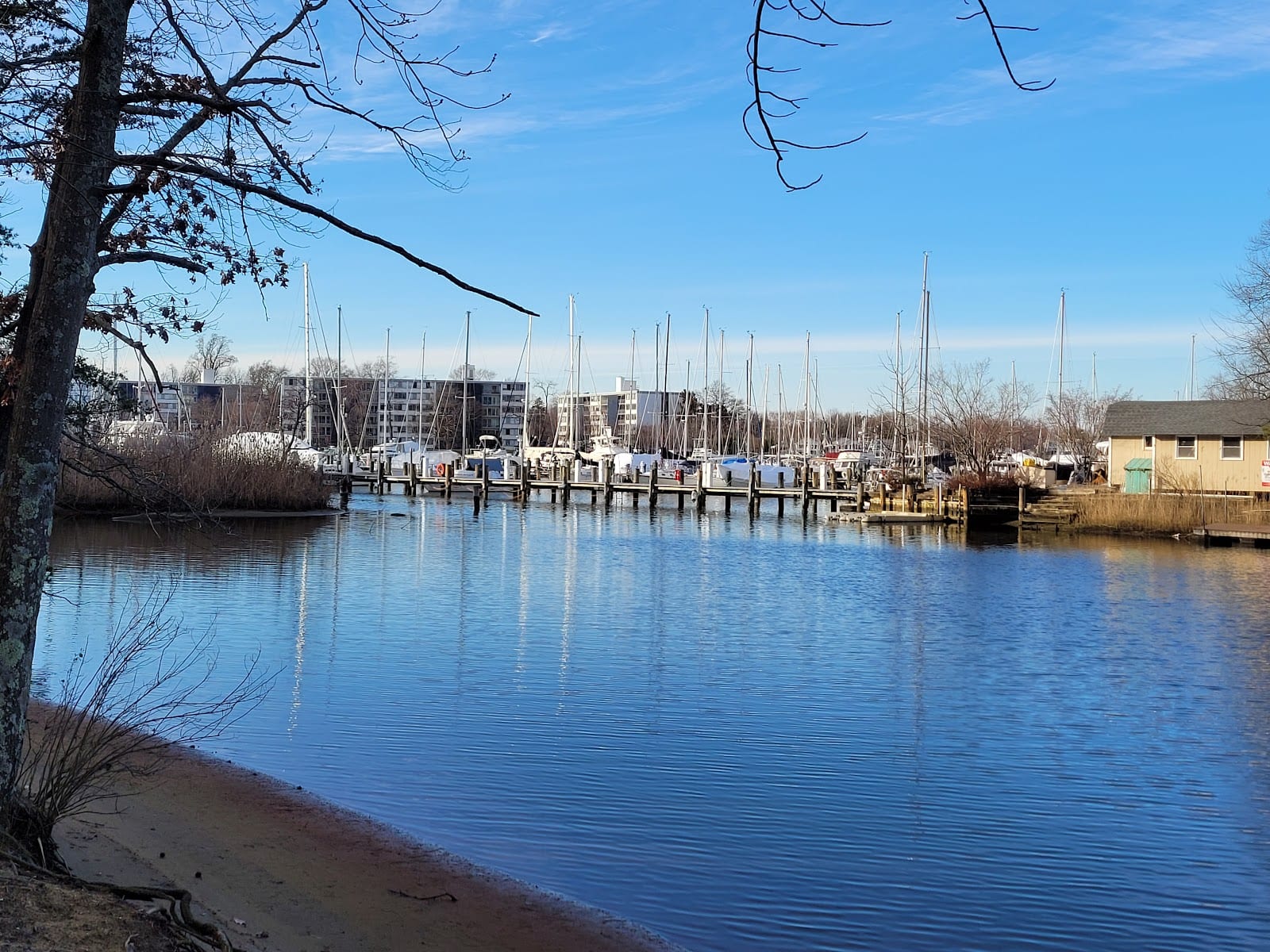 Annapolis Maritime Museum - Park Campus, photo 3