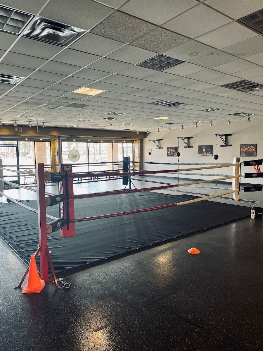 Sweet Science Boxing 520, photo 2
