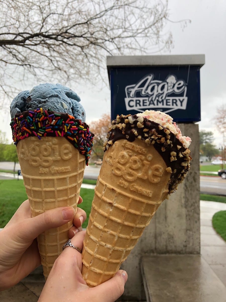 Aggie Ice Cream @ The Creamery