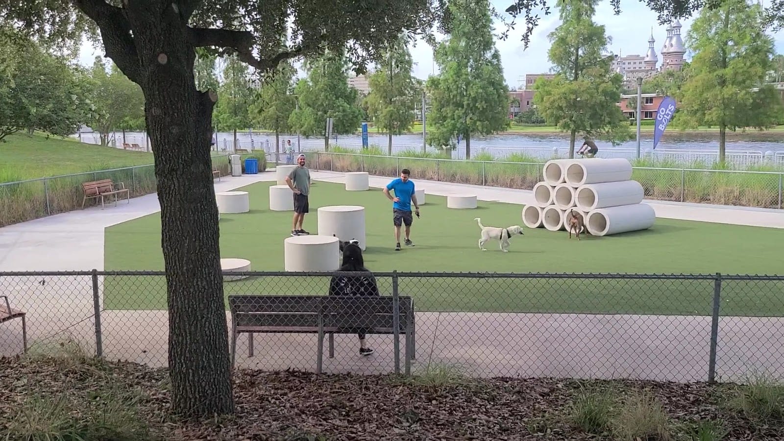 Curtis Hixon Waterfront Park Dog Park, photo 2