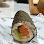 Sprout Sushi Cafe