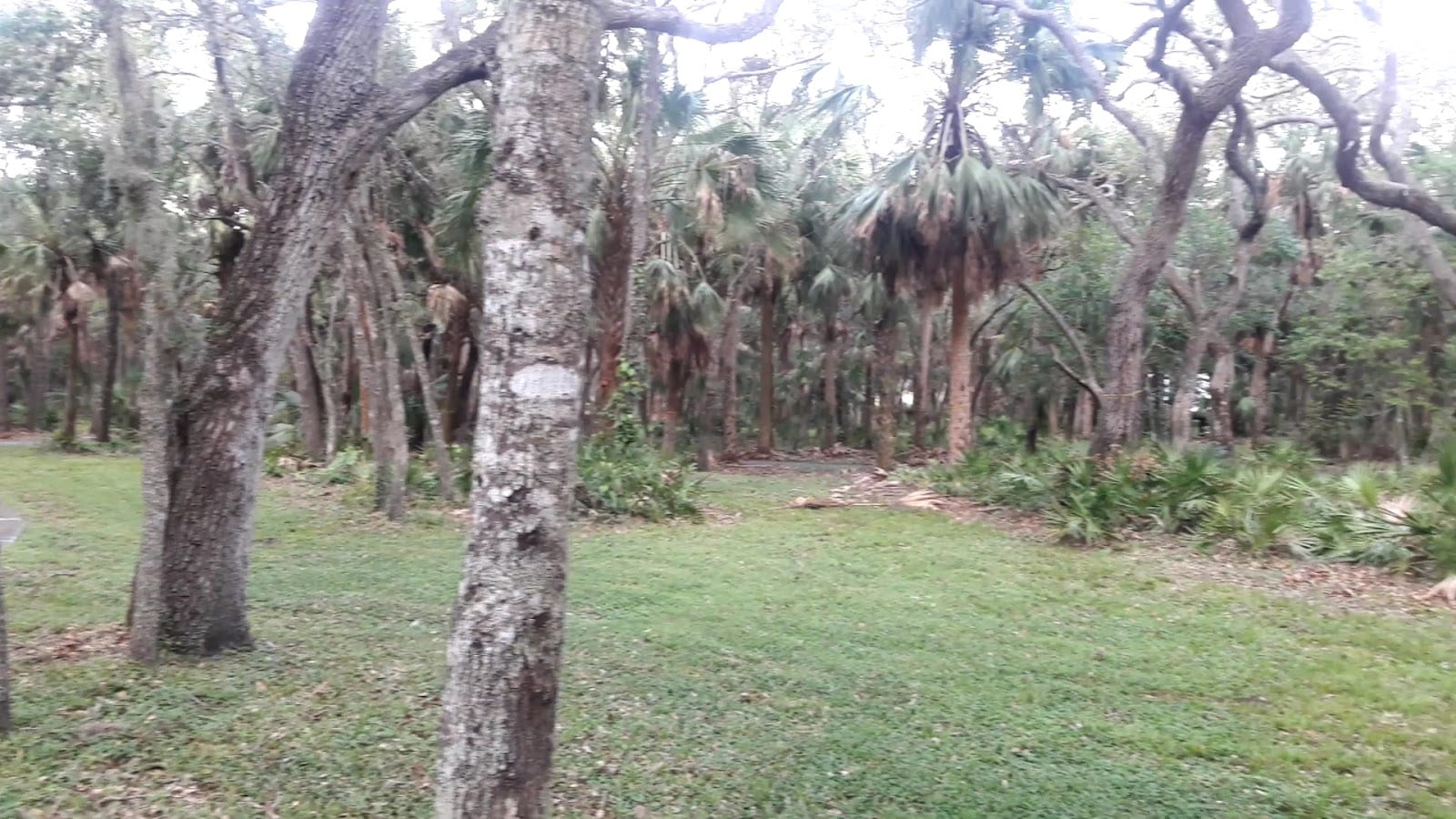 North Water Tower Park, photo 3