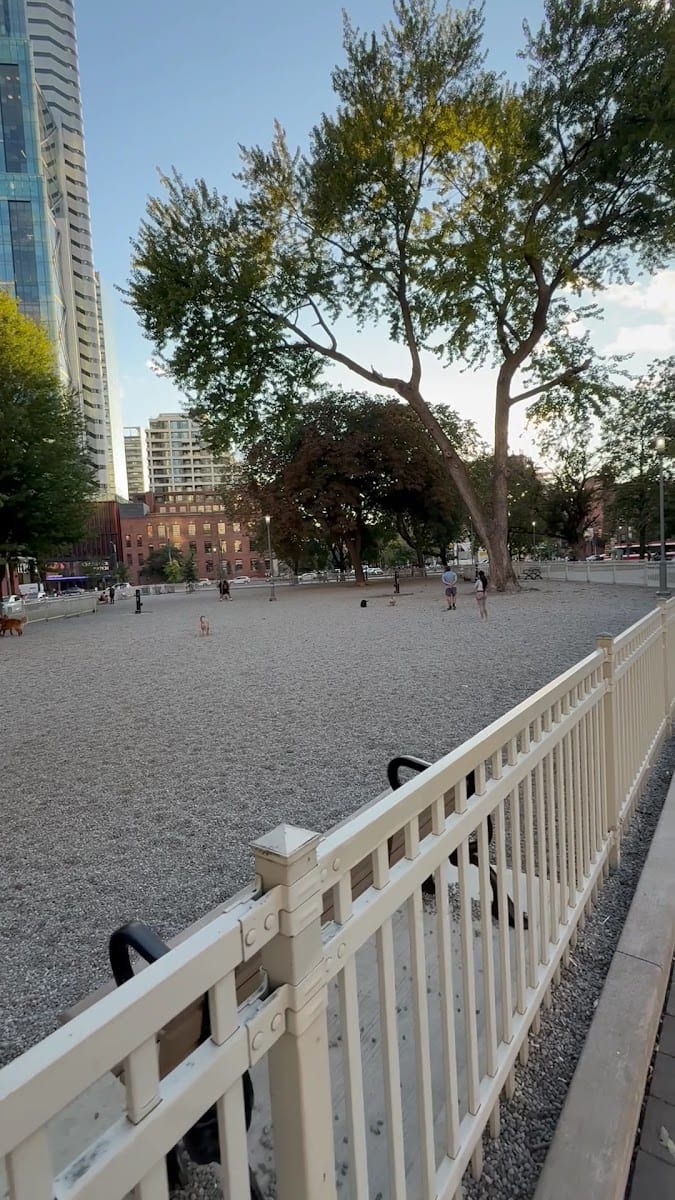 Clarence Square Dog Park, photo 2