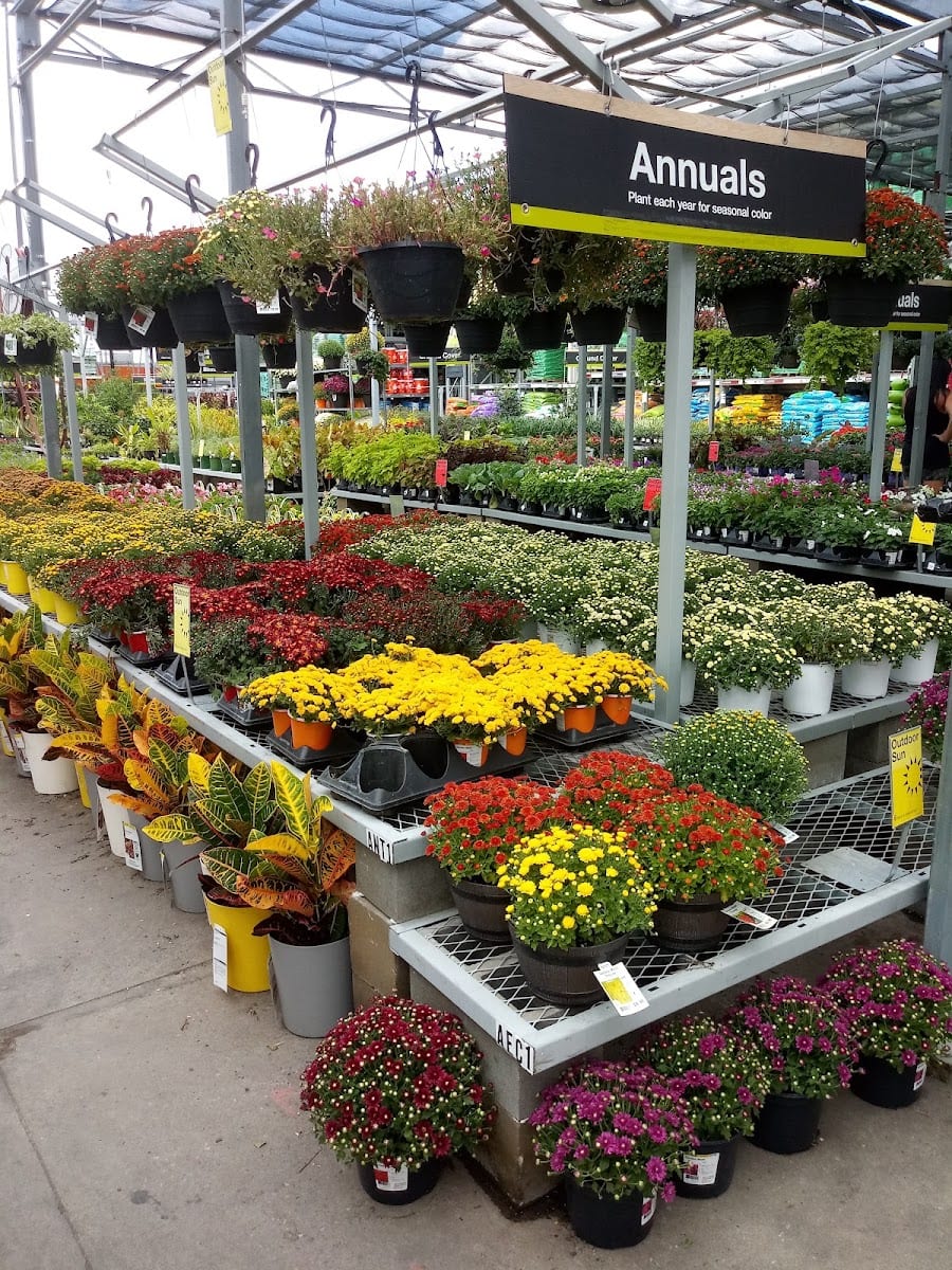 The Home Depot, photo 4