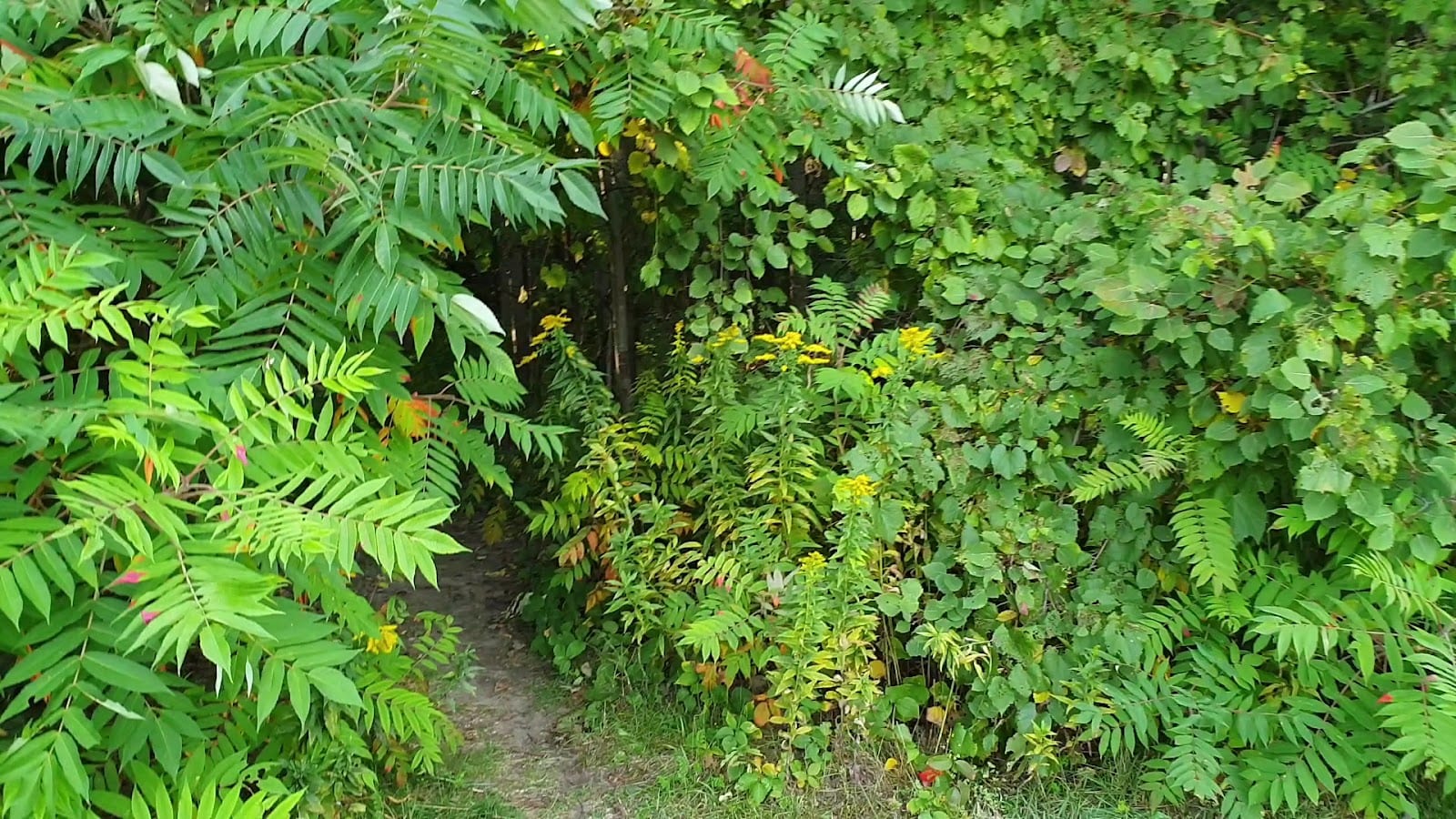 Worthington Park, photo 2