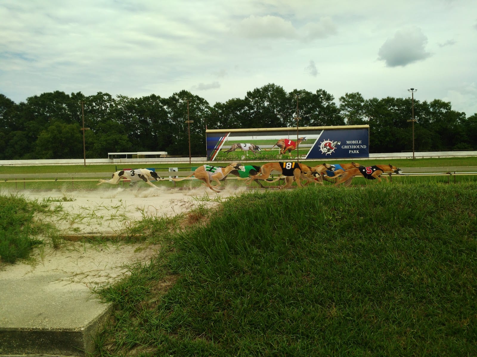 Mobile Race Course, photo 2