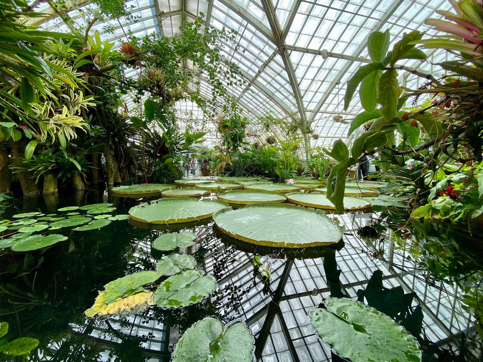 Conservatory of Flowers