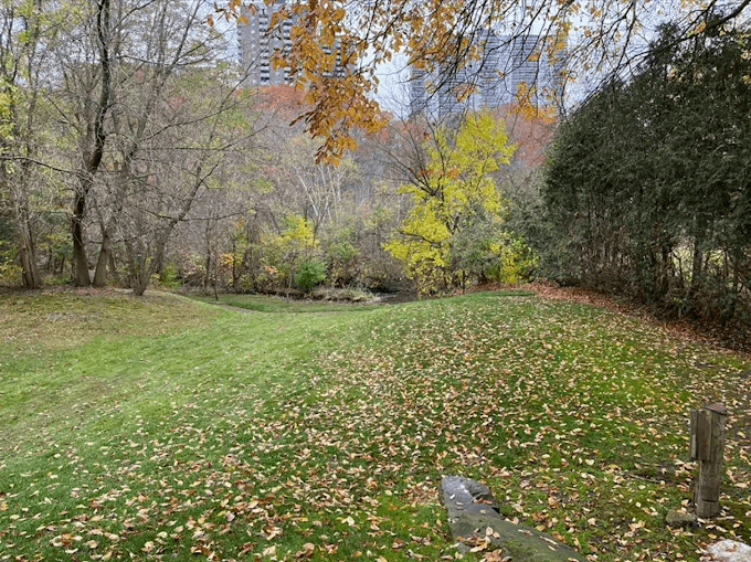ISR Gardening Inc, photo 4