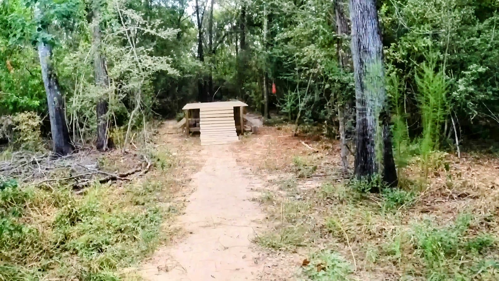 Timber Lane Hike & Bike Trail, photo 3
