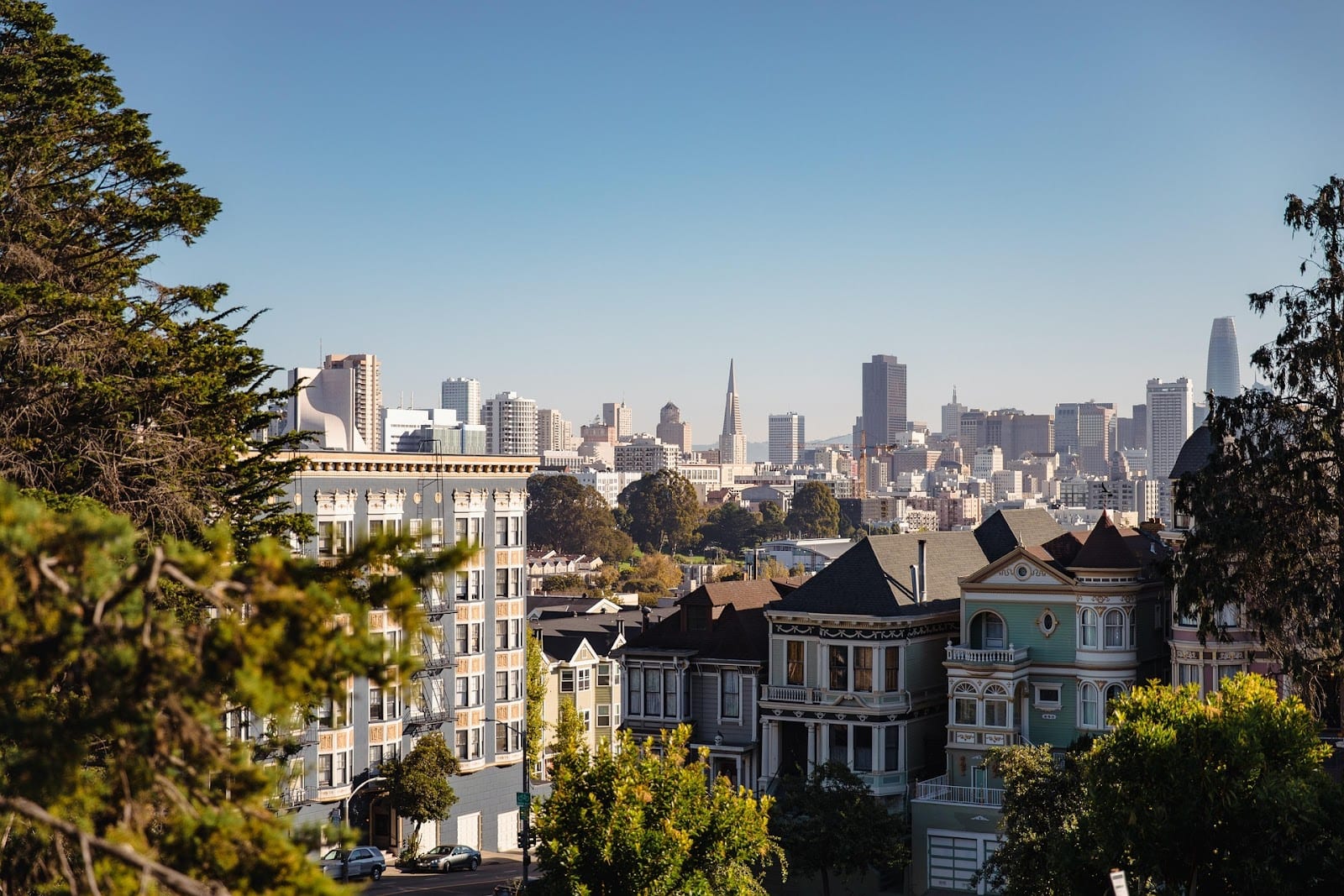 PMP Management - San Francisco, CA