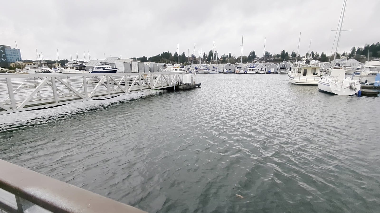 Percival Landing Park, photo 2