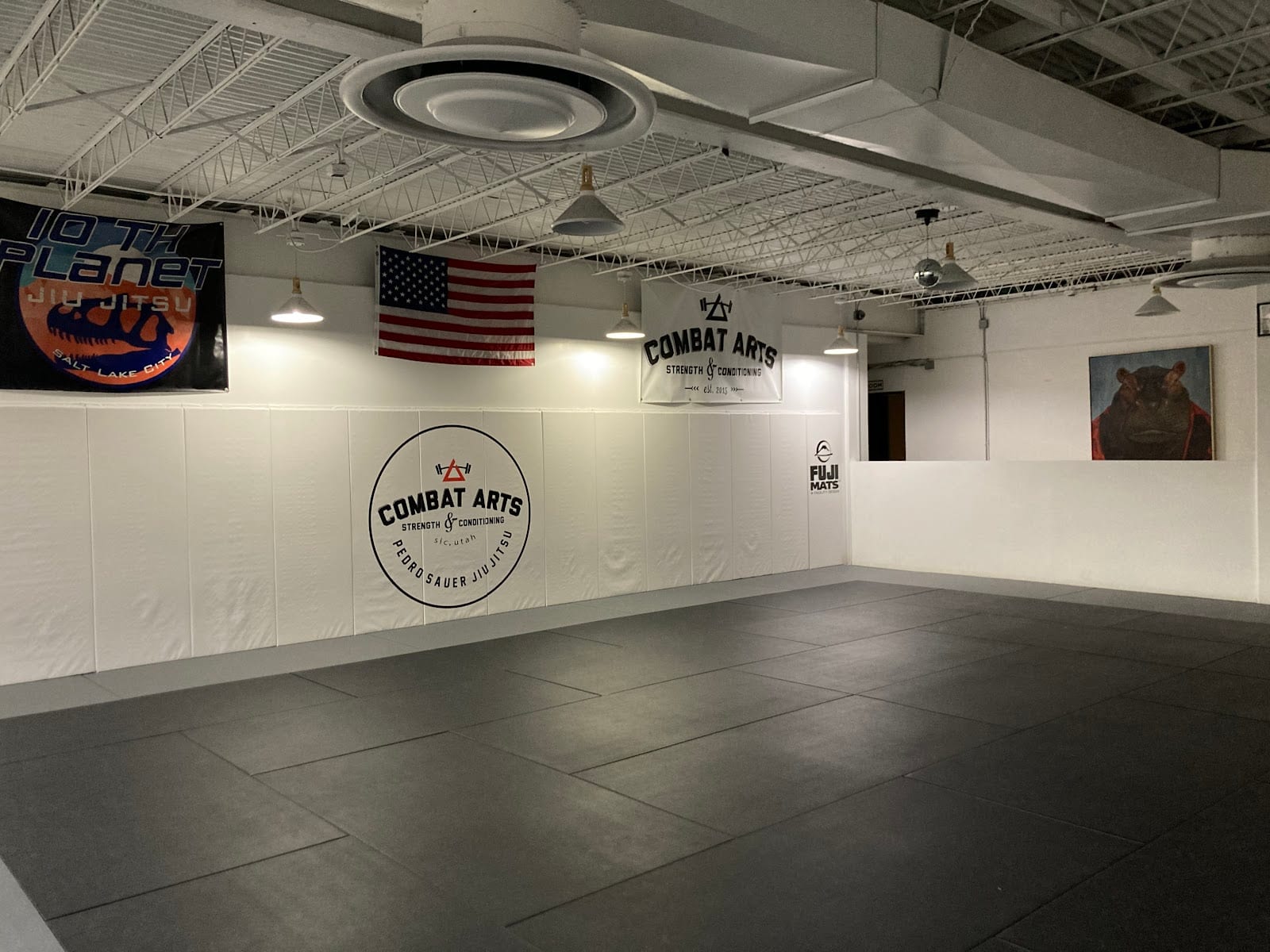 Velocity Combat Club, photo 3