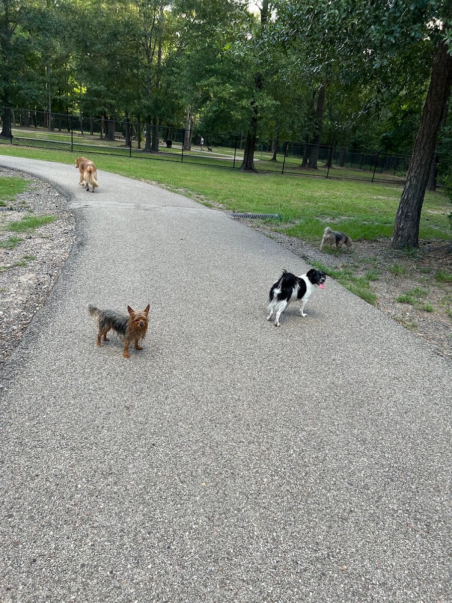 Bibi & Mini-Me Bush Dog Park, photo 4