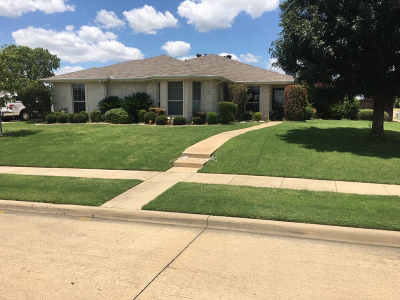 Addison Green Lawn, photo 4