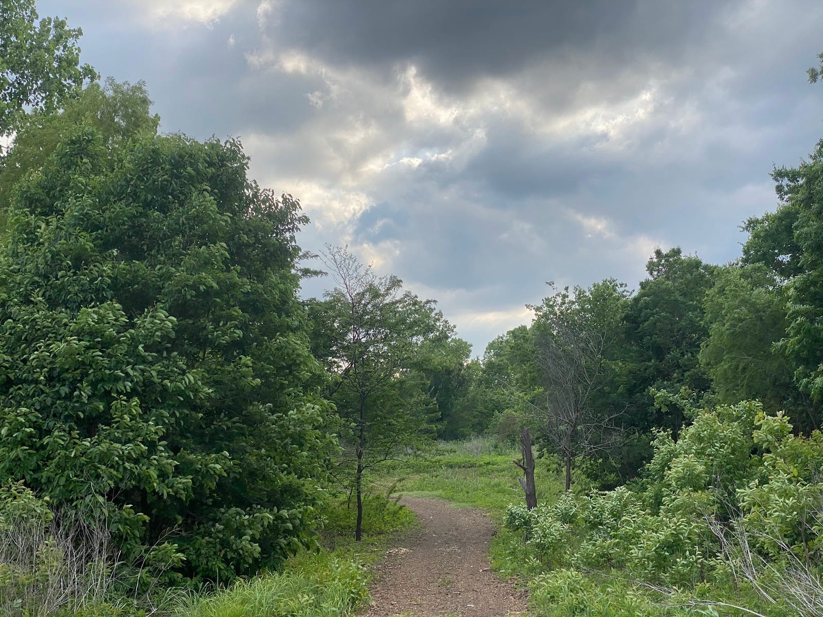 Cottonwood Park Nature Trail