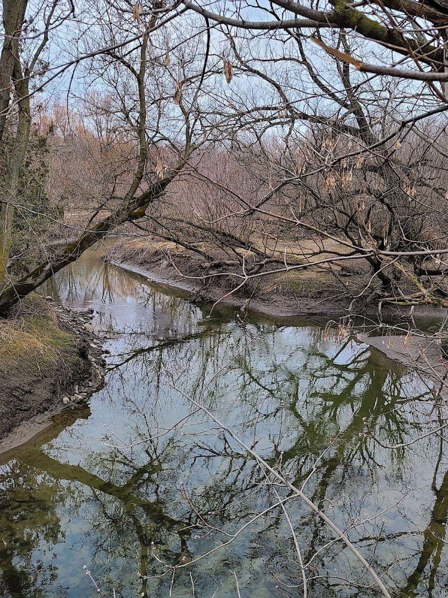 G. Ross Lord Dog Park, photo 3