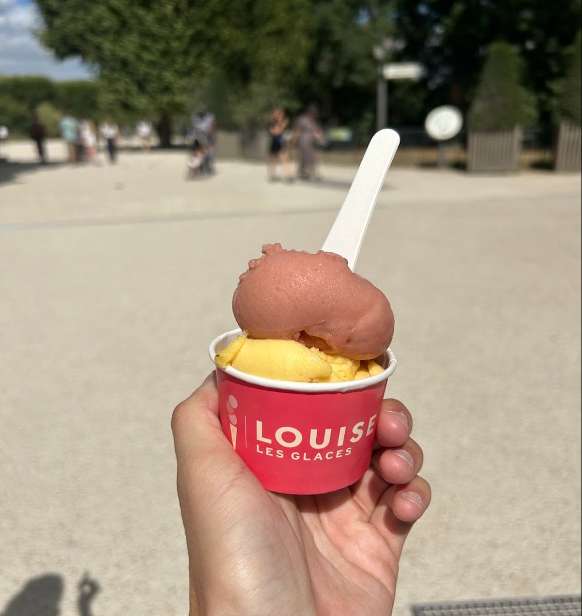 Louise glaces Jardin des Plantes, photo 4