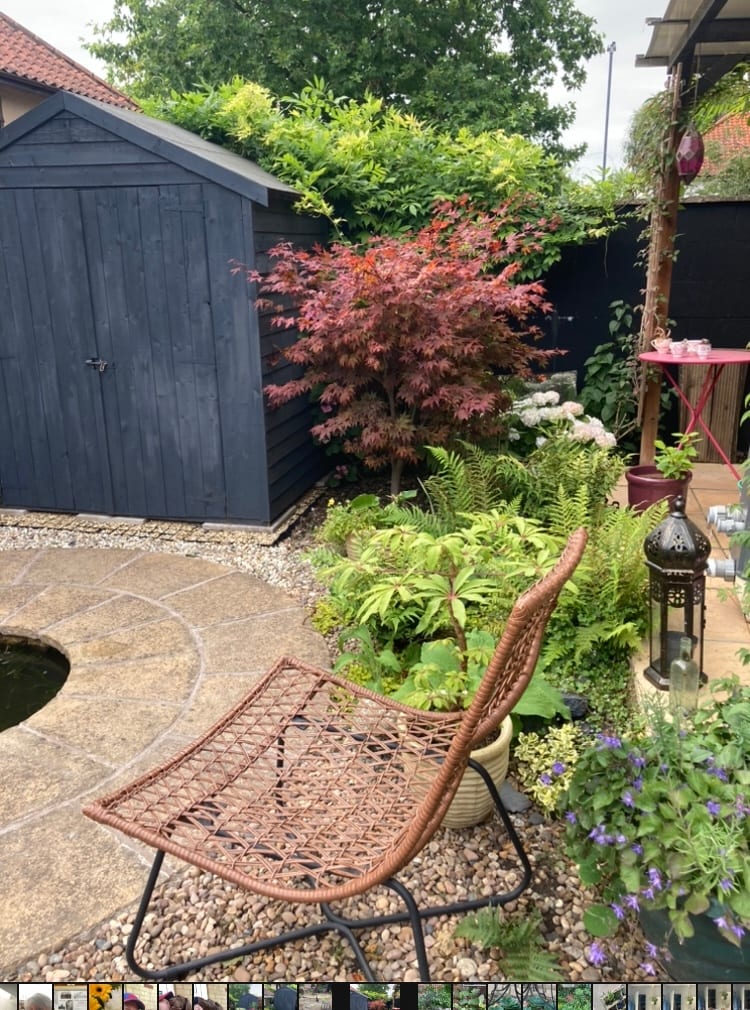 Norfolk Trusted Trader, photo 3