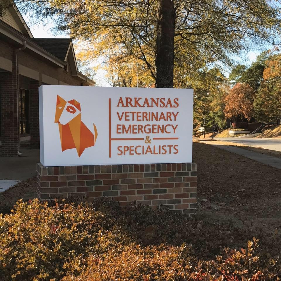 Arkansas Veterinary Emergency & Specialists, photo 2
