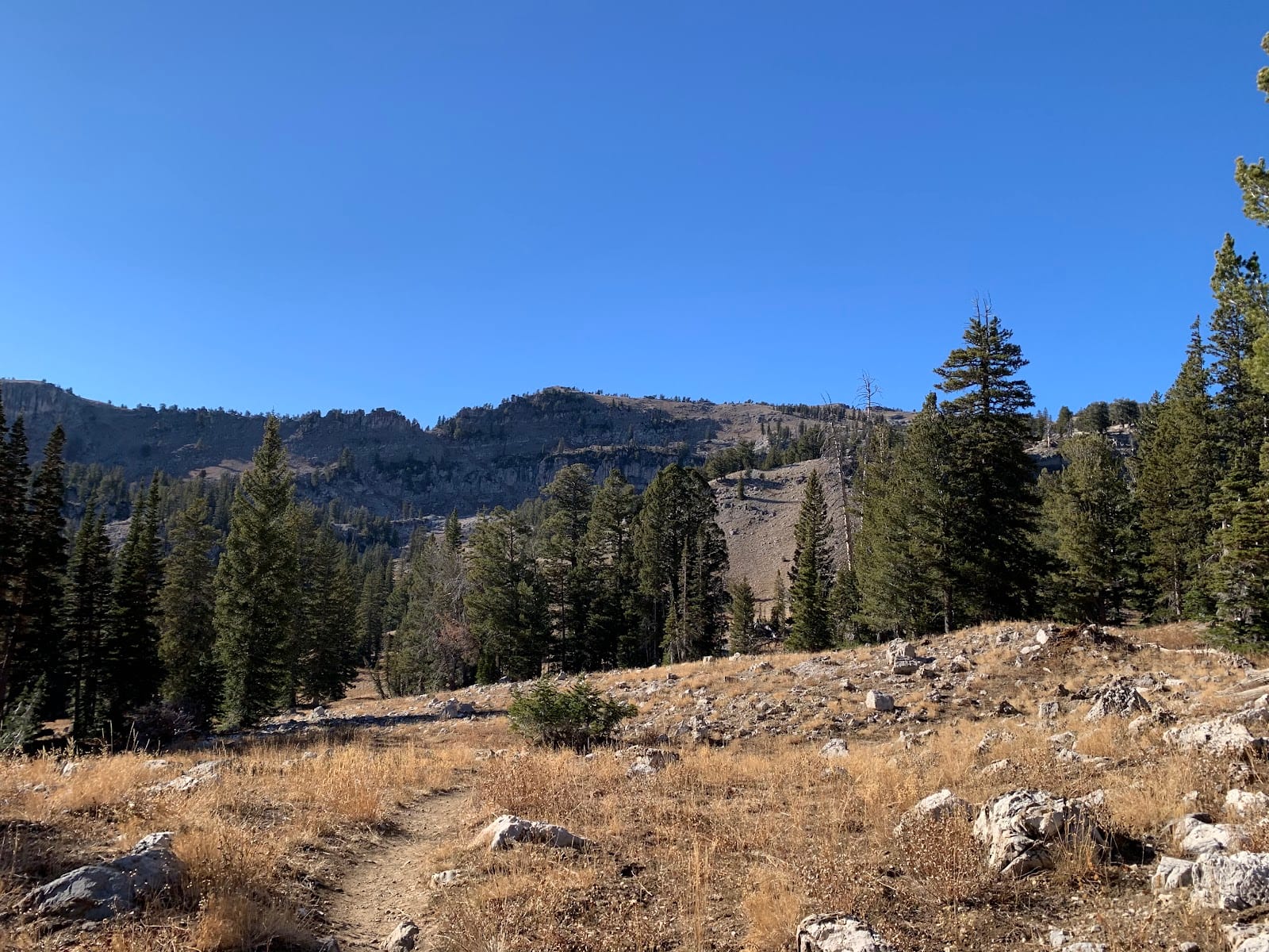 Naomi Peak Trailhead