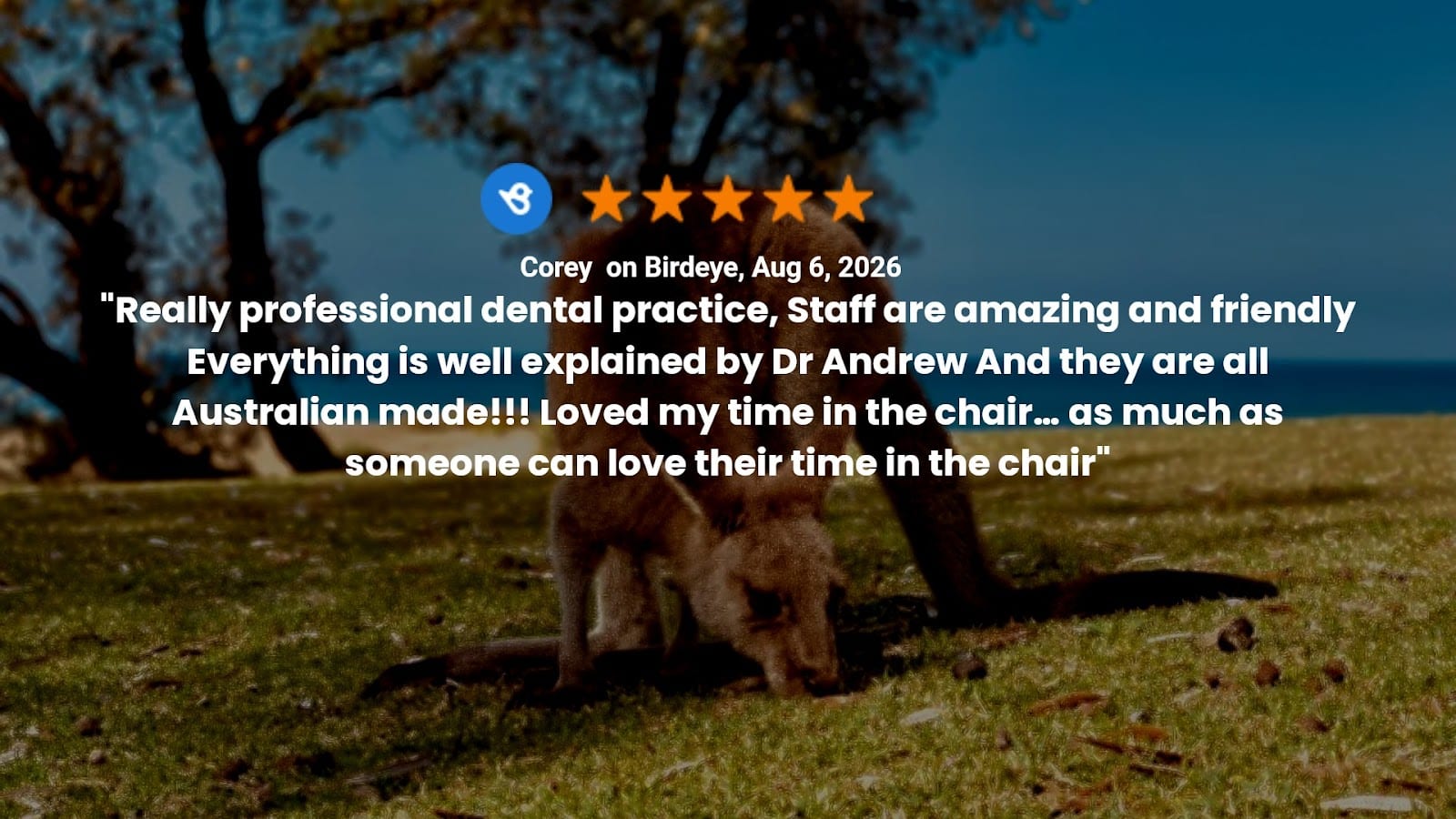 A+ Family Dental, photo 4