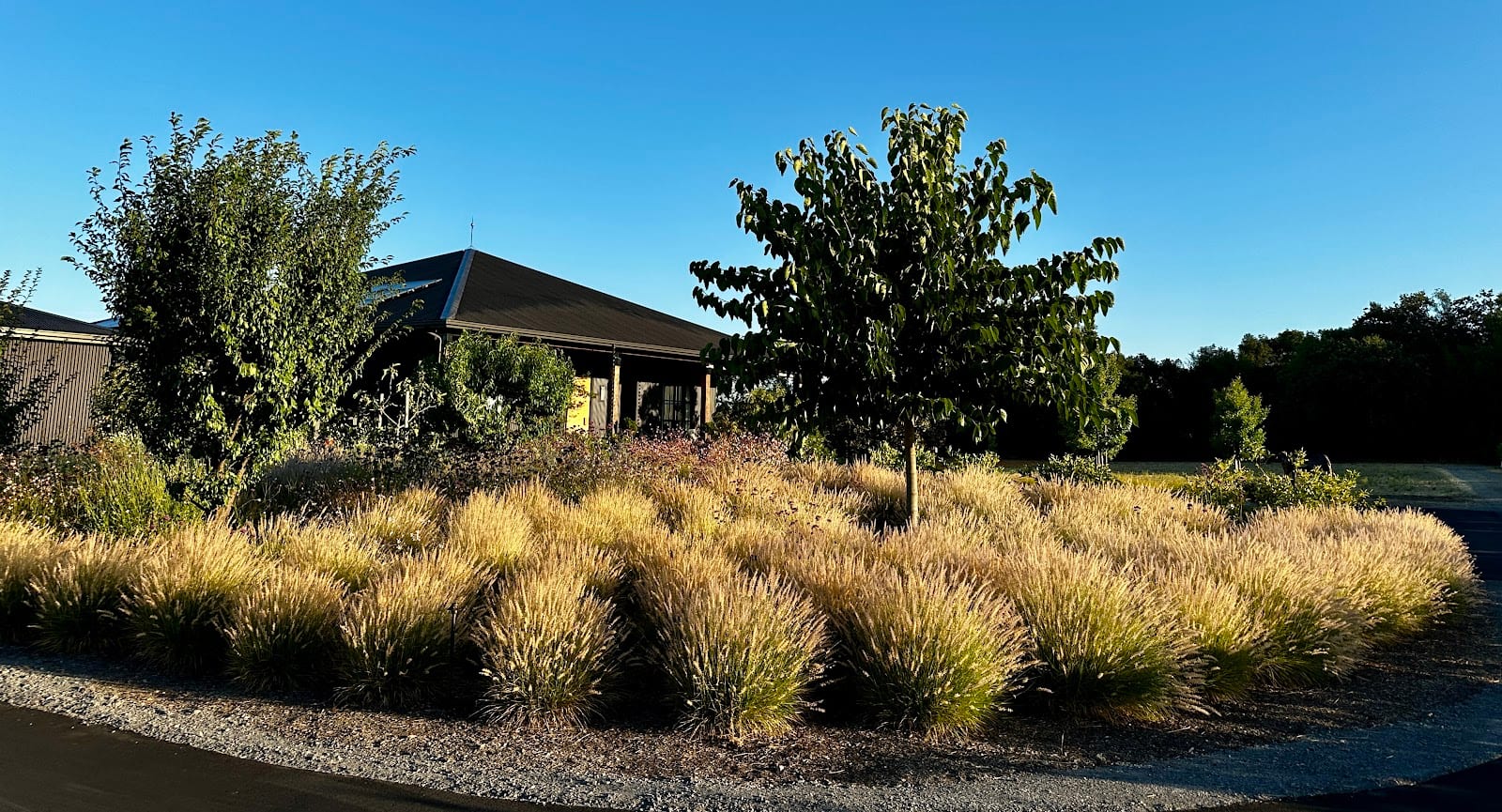 GRDN Studio, photo 3