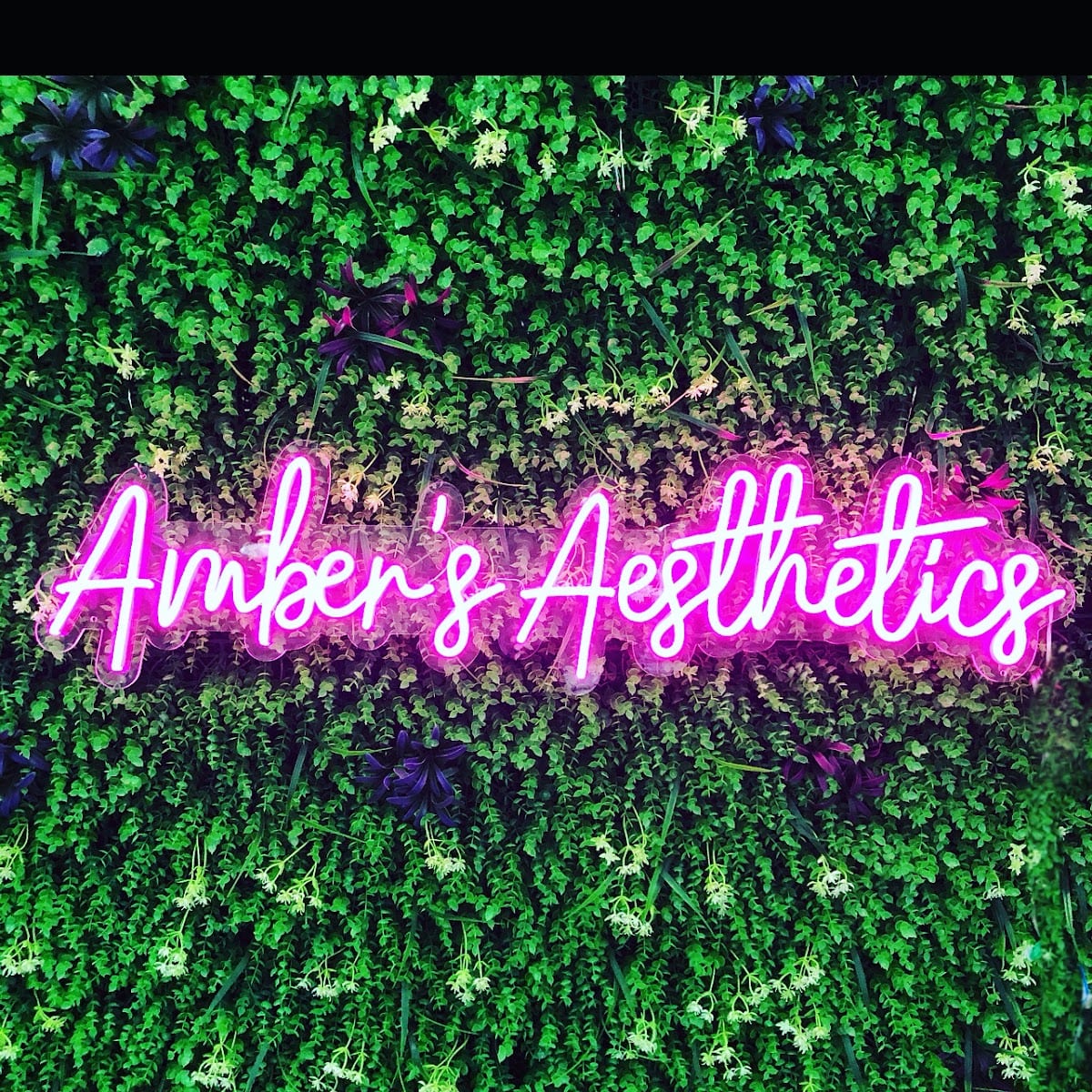 Amber's Aesthetics