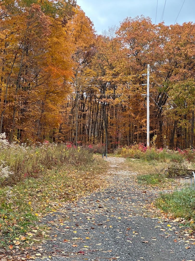 Skidmore North Woods, photo 2