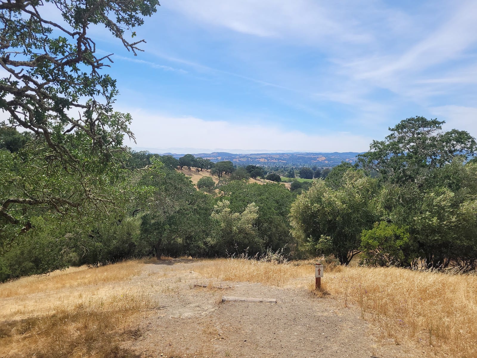 Skyline Wilderness Park Disc Golf Course, photo 3