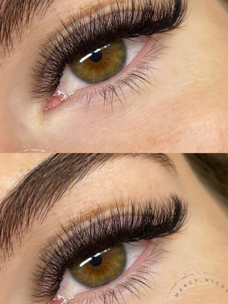 Marcy Nicole Lash Studio, LLC