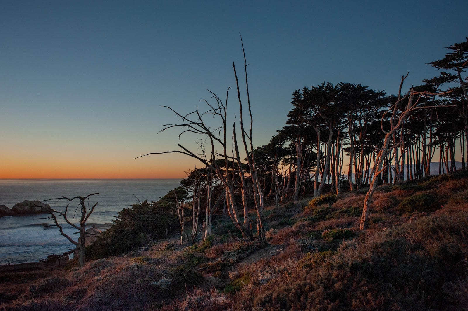 Coastal Trail, photo 3