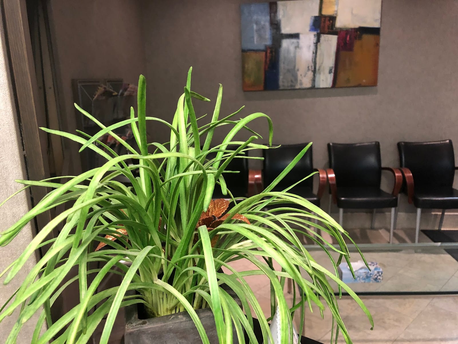 Fairview Dental Group, photo 4