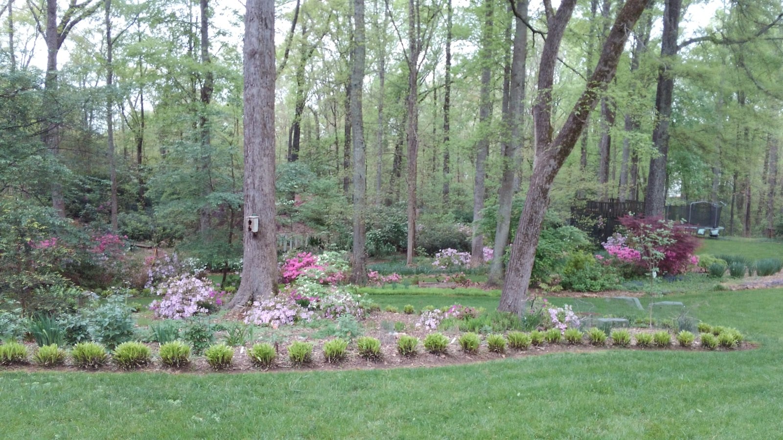 Bridgeman Lawn, photo 3