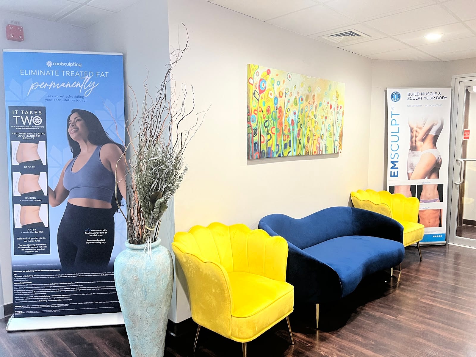 Elysium Aesthetics and Vein Care, photo 4