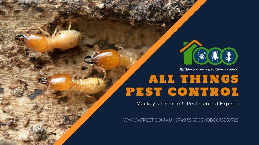 All Things Pest Control, photo 2
