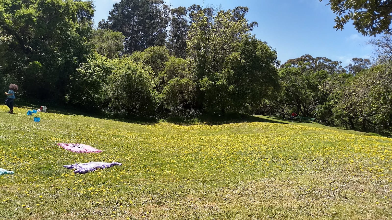 Bunny Meadow