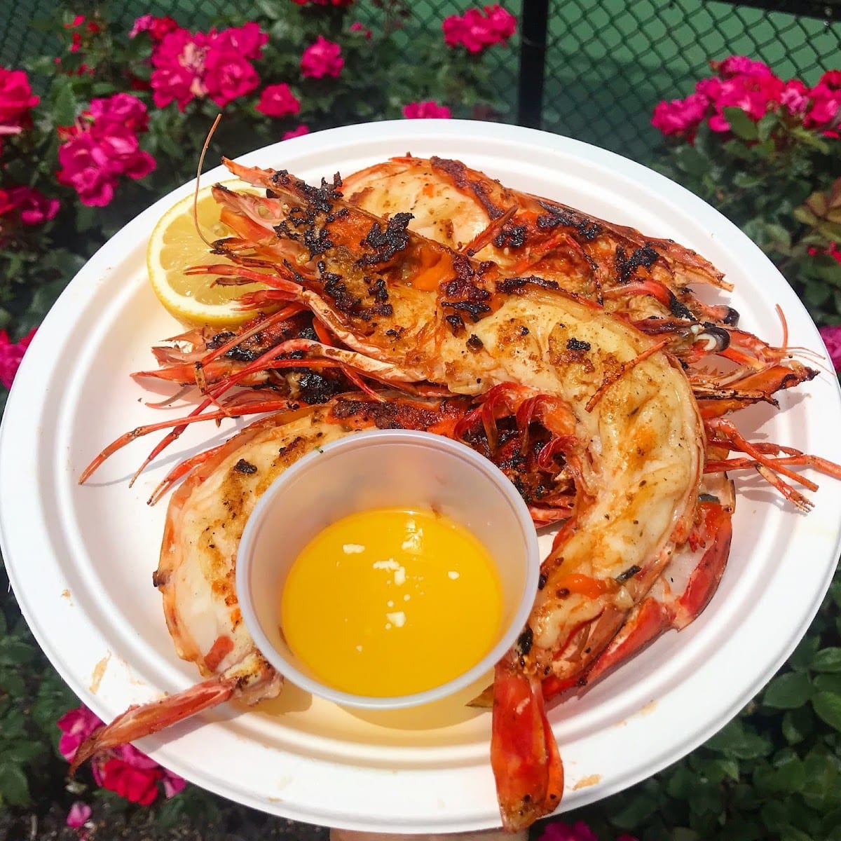 The Fat Crab Bar & Grill, photo 4