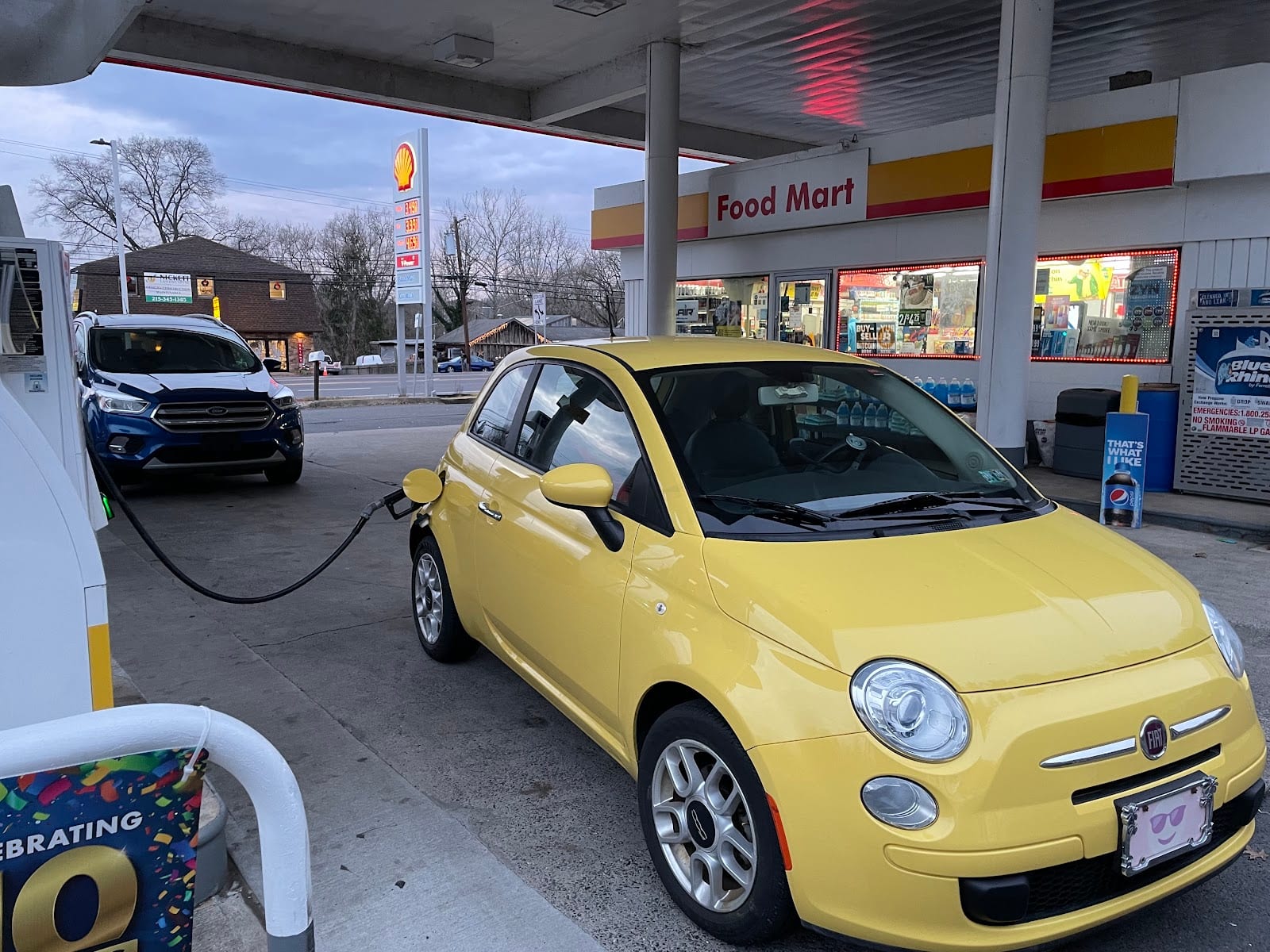 Shell, photo 4